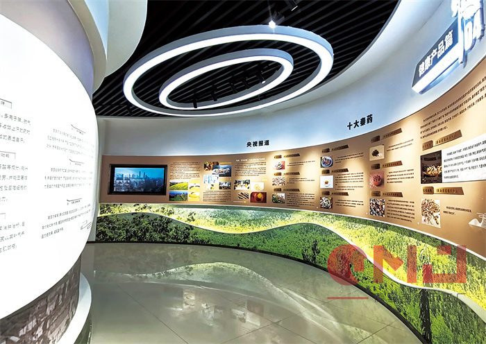 草莓视频二维码展示想要做好应该从哪些方面下手呢？